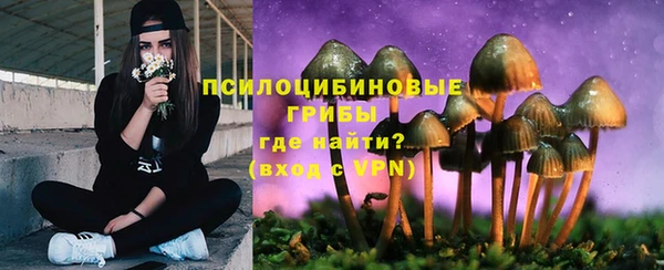 каннабис Богородицк