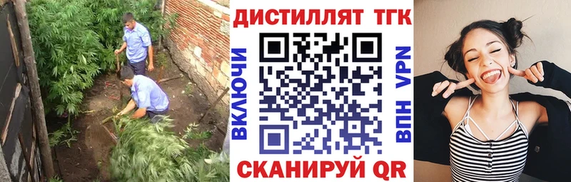 ТГК Wax  Купить где  Хабаровск 